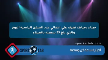 ميناء دمياط: تعرف على إجمالي عدد السفن الراسية اليوم والذي بلغ 33 سفينة بالميناء